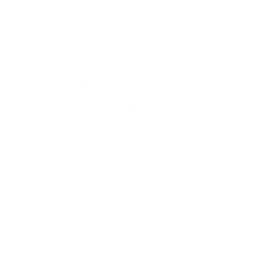 Texas Star Beef